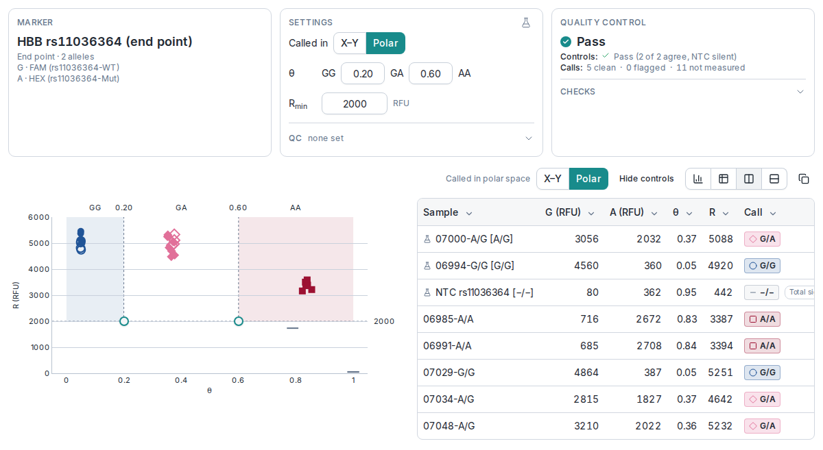 Genotype calling for HBB rs11036364 as an end-point marker, called in polar space. The Settings card sets a θ window from 0.20 to 0.60 and a minimum R of 2000 RFU. The plot shows θ against R: G/G samples at θ near 0.05, G/A heterozygotes near 0.37 and A/A samples near 0.84, all above the minimum R line at 2000, with the no-template control below it. The table lists each sample's RFU per allele, θ, R and call