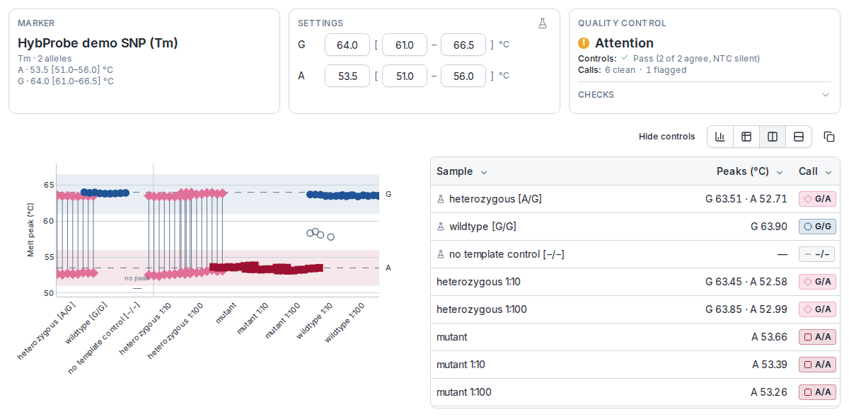Genotype calling for a HybProbe Tm marker with alleles G and A. The Settings card holds a range per allele: G 61.0 to 66.5 °C, expected 64.0, and A 51.0 to 56.0 °C, expected 53.5. The melt peak plot shows each sample's peaks as points, with the G range shaded at the top and the A range at the bottom; heterozygotes have a peak in both, joined by a line. The table lists each sample's peaks in °C and its call